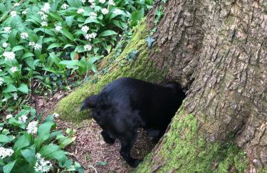 Bittles Cottage - Photo 18