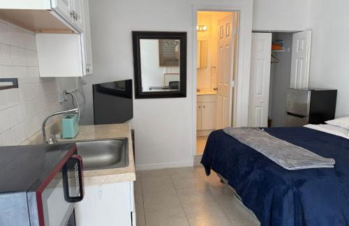 My Garden in Miami Florida - Photo 18