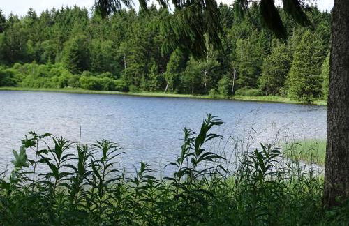 Hüttenflair am See mit Kamin - Foto 33