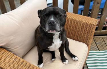 Travellers Rest Retreat - Foto 52