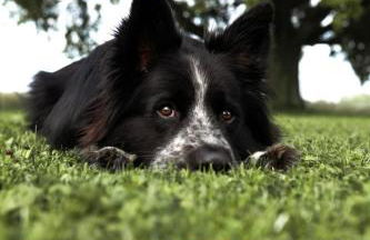 Ferienhaus Taubenhof - Foto 36