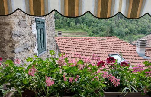 sax & rosa - Foto 17