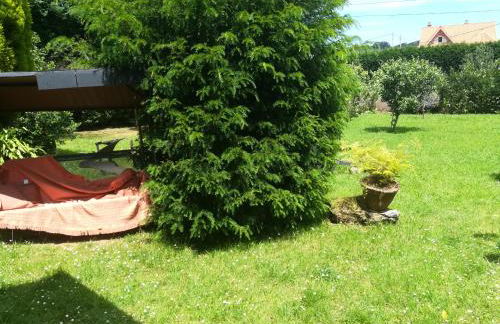 La Chimenea Cantabra - Foto 46