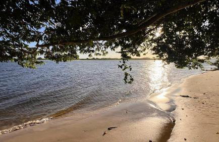 Chácara Adelly - Foto 55