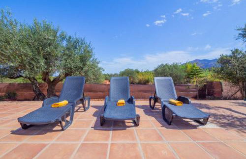 Cubo's Finca Los Acebuches - Photo 40