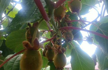 Apartman Arena - Foto 76