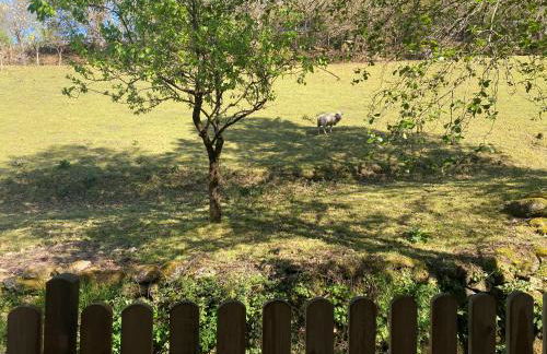 EL VIEJO MOLINO - Foto 42