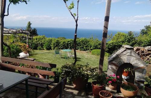 ΕΙΡΗΝΗ - Foto 5