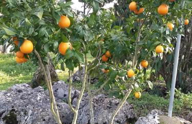 Casa de Amigos - Foto 48