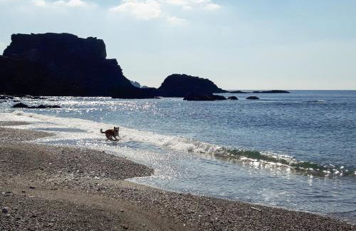 The Coach House - Foto 20