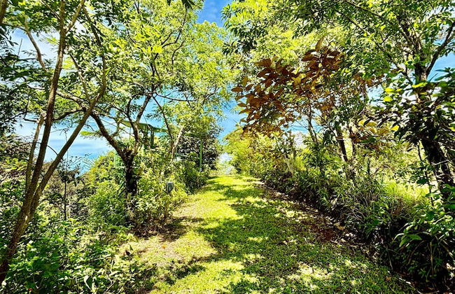 Rincón De Gaetano - Photo 14