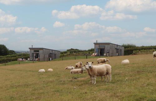 The Cadeleigh - Foto 38