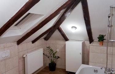 Mickey Mouse Supilova 24 - Foto 27