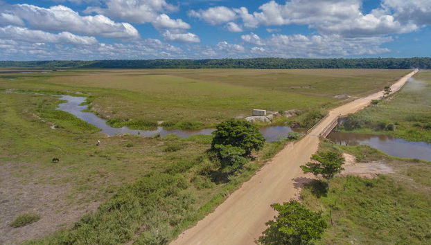 Sentieri della spiaggia
