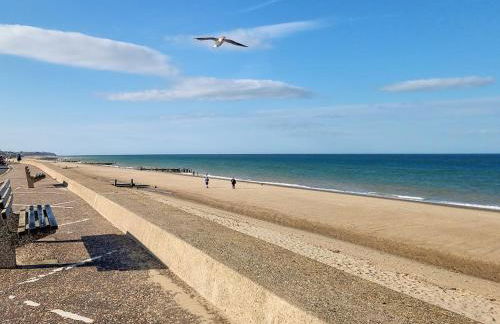 Hollyhocks - Photo 8