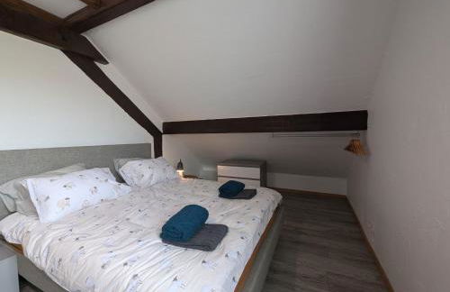 Grande maison proche des Vosges, idéale cyclisme et randonnée, animaux admis, vélos à dispo - FR-1-583-298 - Foto 7