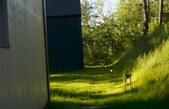 Leśny Duet - Foto 9