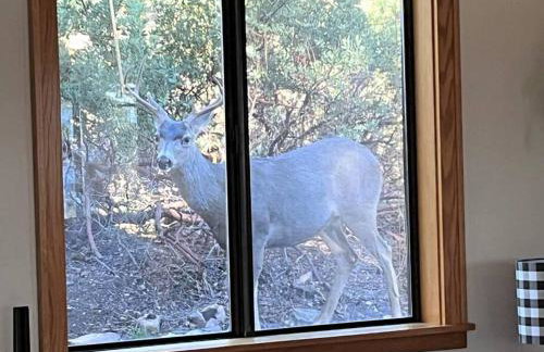 Mountain Cabin Retreat in the Pines - Foto 12