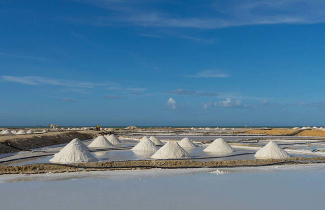 Excursión a las salinas de Manaure y el santuario de fauna y flora Los Flamencos - Foto 2