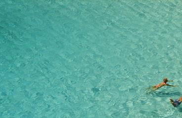 Collmar by Sonne Villas - Foto 40