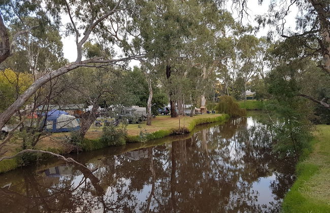 Euroa Caravan Park - Foto 41