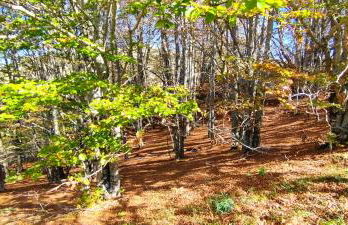 Casa alla Costa - Foto 24