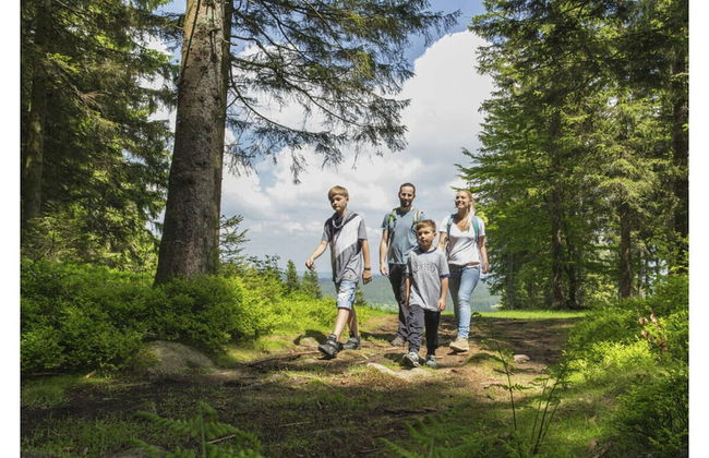 History and Luxus - Photo 15