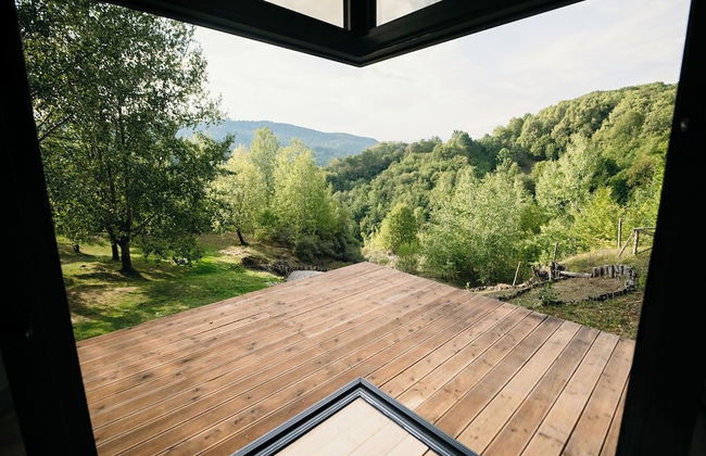 PurpleVague - Photo 32