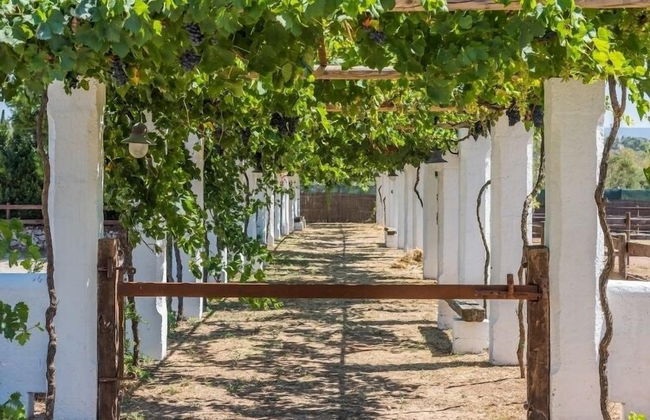 Tia Maria Country Inn - Foto 43