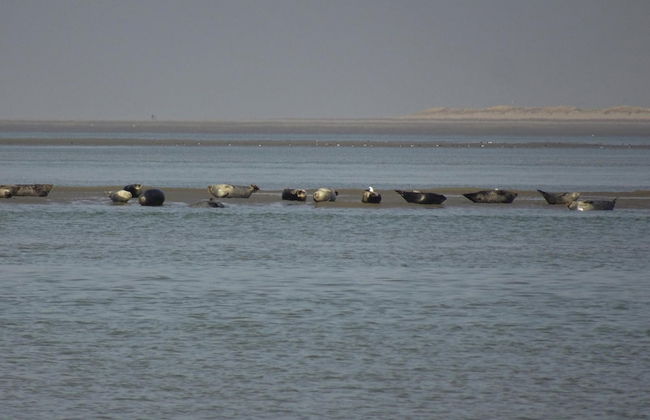 Farmhouse in Lancheres Near Somme Bay - Foto 18
