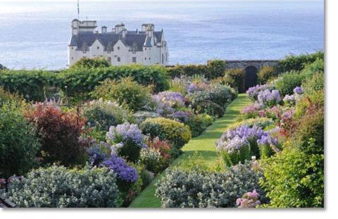 Camhanaich 'Half light of dawn' - Foto 34