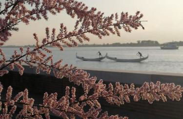 Orizzonte Marino Giallo Angolo solare verso la laguna - Foto 14