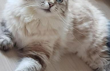 Museum Lust auf Zuhause Ferien in der Provinz - Foto 20