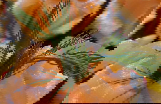 tuŻur Domki Nad Potokiem - Foto 40