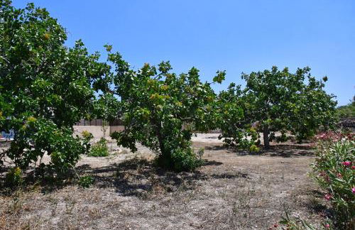 Mitsakos Golden House - Foto 10