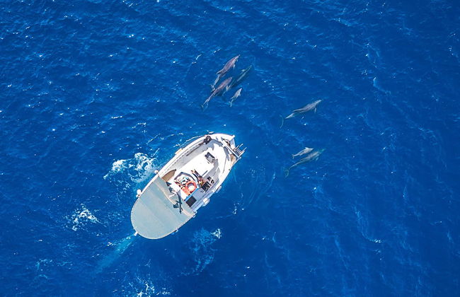 Alquiler de barco con patrón en Maafushi - Foto 1