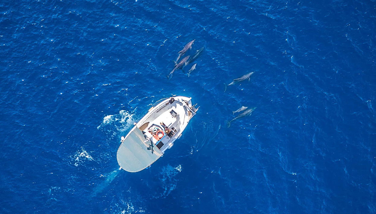 Alquiler de barco con patrón en Maafushi