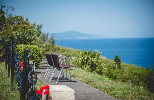 Gure ametsa - Foto 1