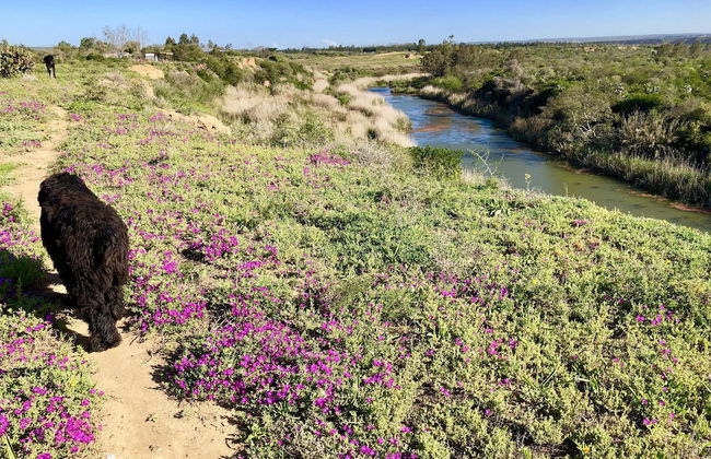 River Front Estate - Photo 29