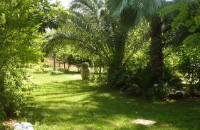 Il Trullo del Cadetto - Foto 19