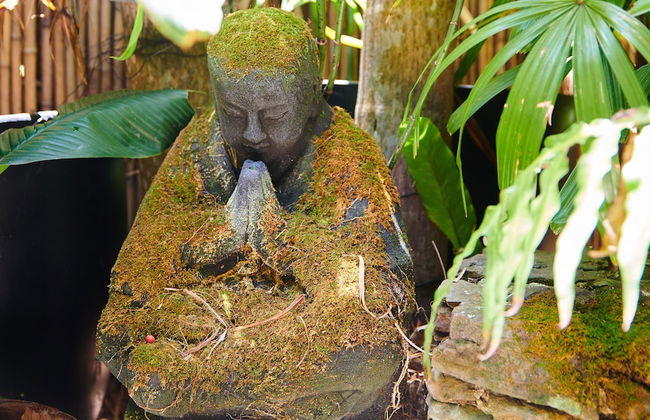 Julians Apartments - Photo 52