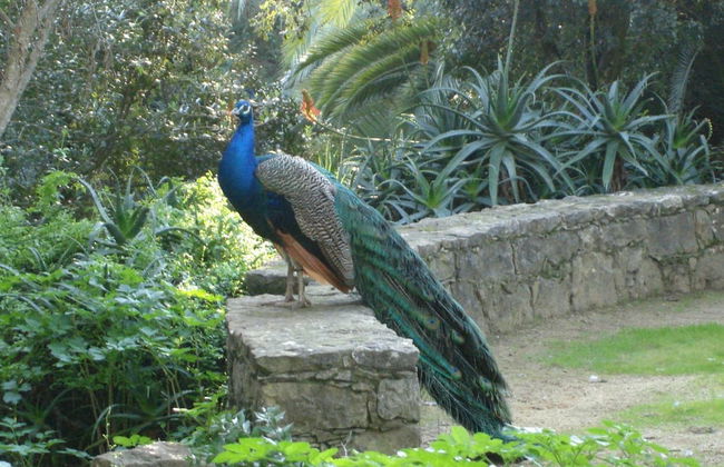 Villa dos Teixos - Foto 48