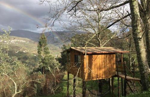 Palheiro do Vale do Paiva - Foto 8