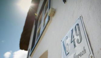 FÖHRIENHAUS stilvolle 5 Sterne Einheiten in ruhiger Marschrandlage auf Föhr für Gäste, die das Besondere schätzen, gerne auch mit Hund - Foto 2