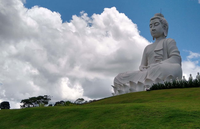 Excursão à estátua do Buda gigante - Foto 1