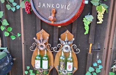 Kuća za odmor Janković - Foto 38