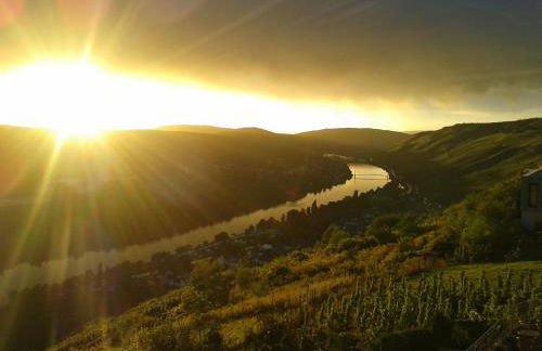 Apartment an der Mosel 2 - Foto 1