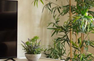 La Bodega del Mar - Luminoso y céntrico apto con piscina en verano y parking - Foto 30