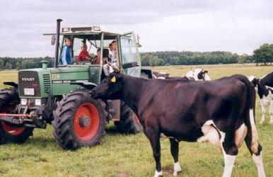 Ferien-und Bauernhof Gauster - Foto 17
