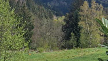 Vacances zen en montagne - Foto 2